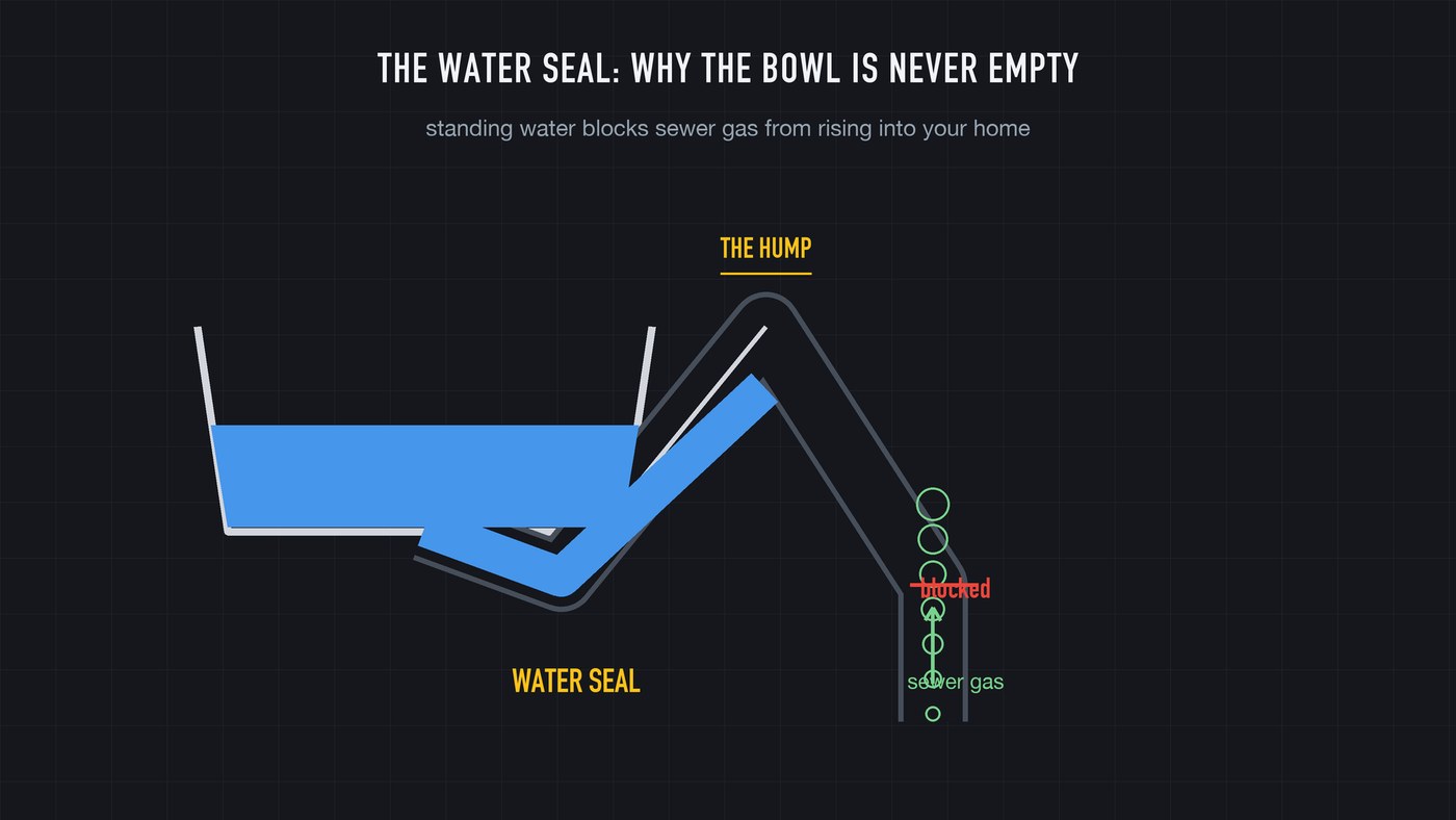 The water seal: sewer gas rises up the pipe, hits the standing water in the trap, and stops.