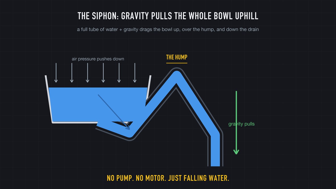 The siphon: a full tube of water over the hump. Falling water on the far side pulls the whole bowl up and over.