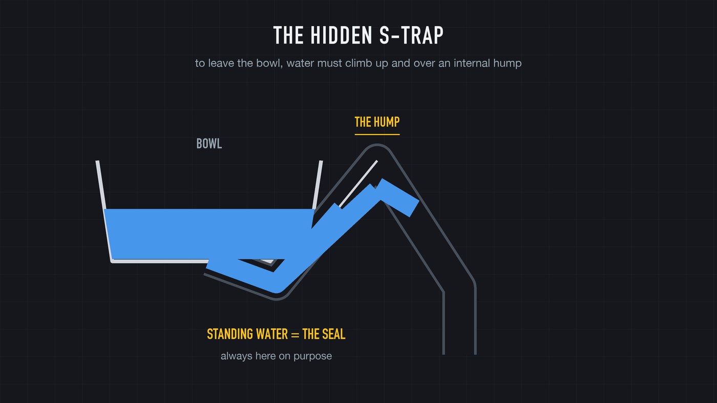 The trap: an S-shaped tube built into the porcelain. Water must climb over the hump to leave the bowl.